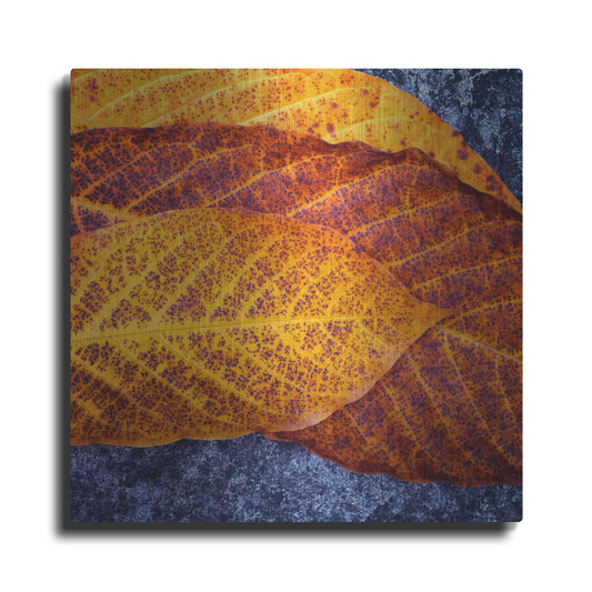 Luxe Metal Art 'Three Leaves' by Jan Bell Metal Wall Art