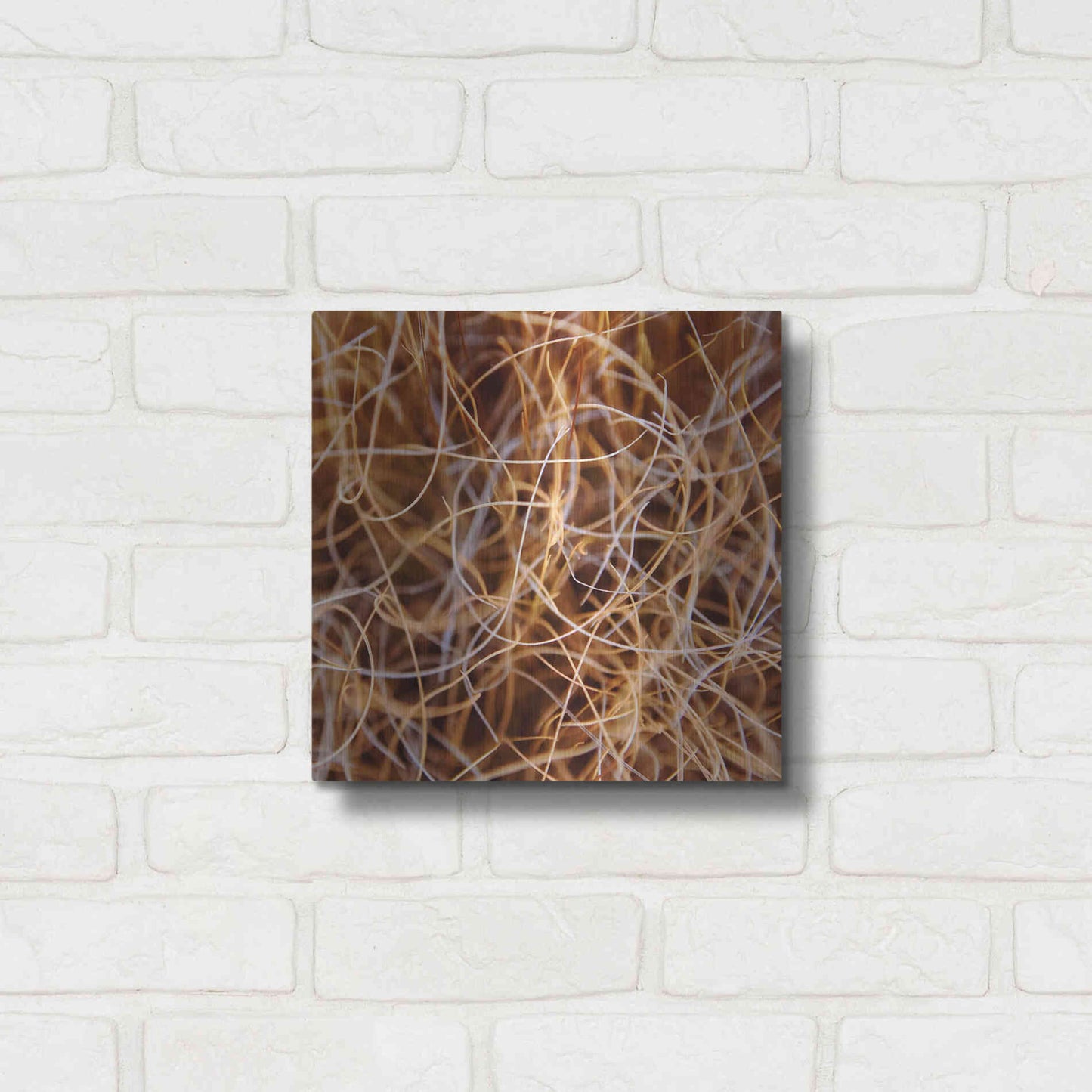 Luxe Metal Art 'Zion Grass' by Jan Bell Metal Wall Art,12x12