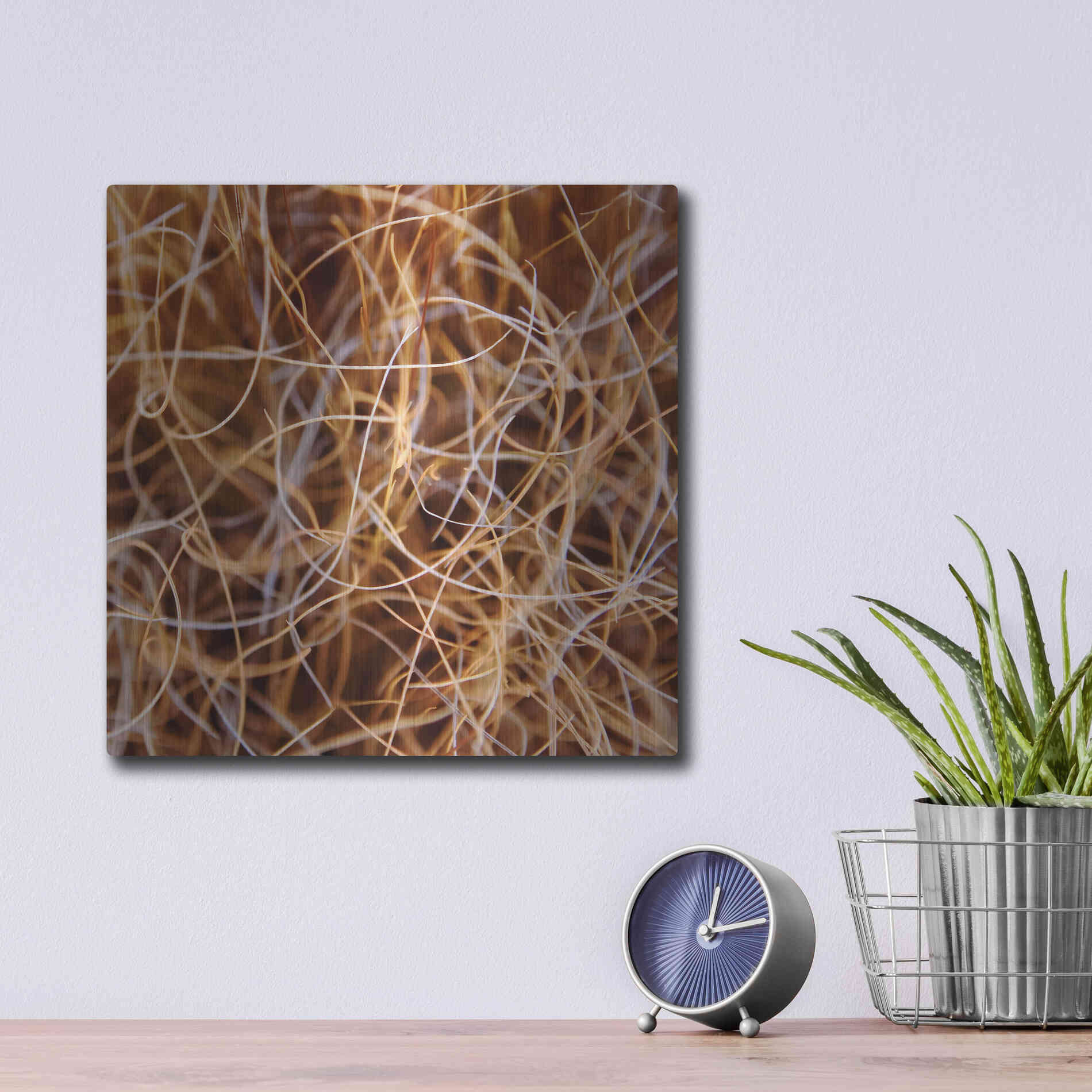 Luxe Metal Art 'Zion Grass' by Jan Bell Metal Wall Art,12x12