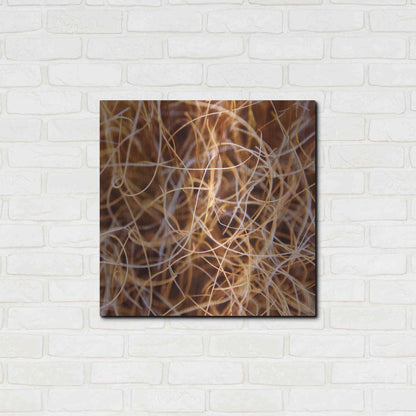 Luxe Metal Art 'Zion Grass' by Jan Bell Metal Wall Art,24x24