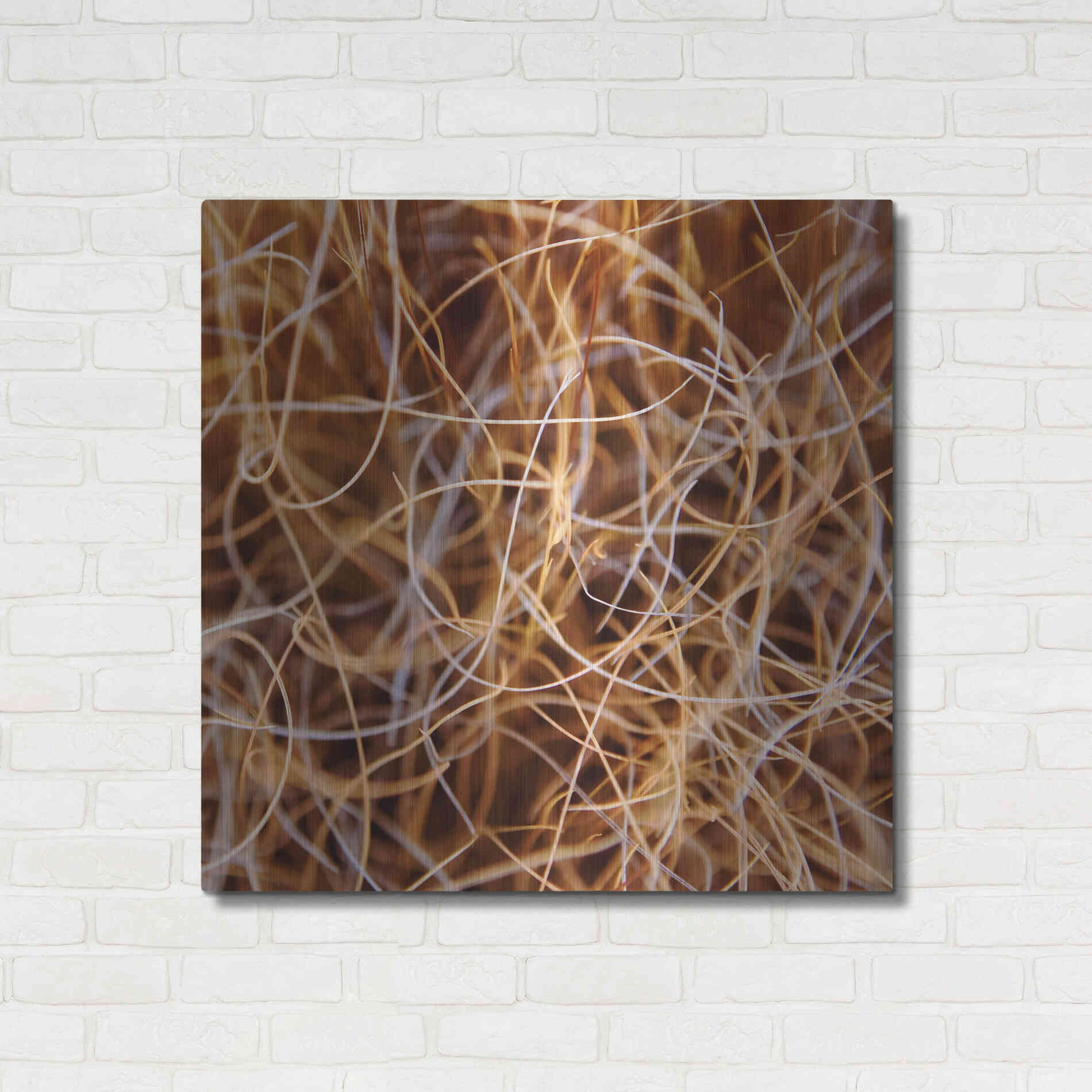 Luxe Metal Art 'Zion Grass' by Jan Bell Metal Wall Art,36x36