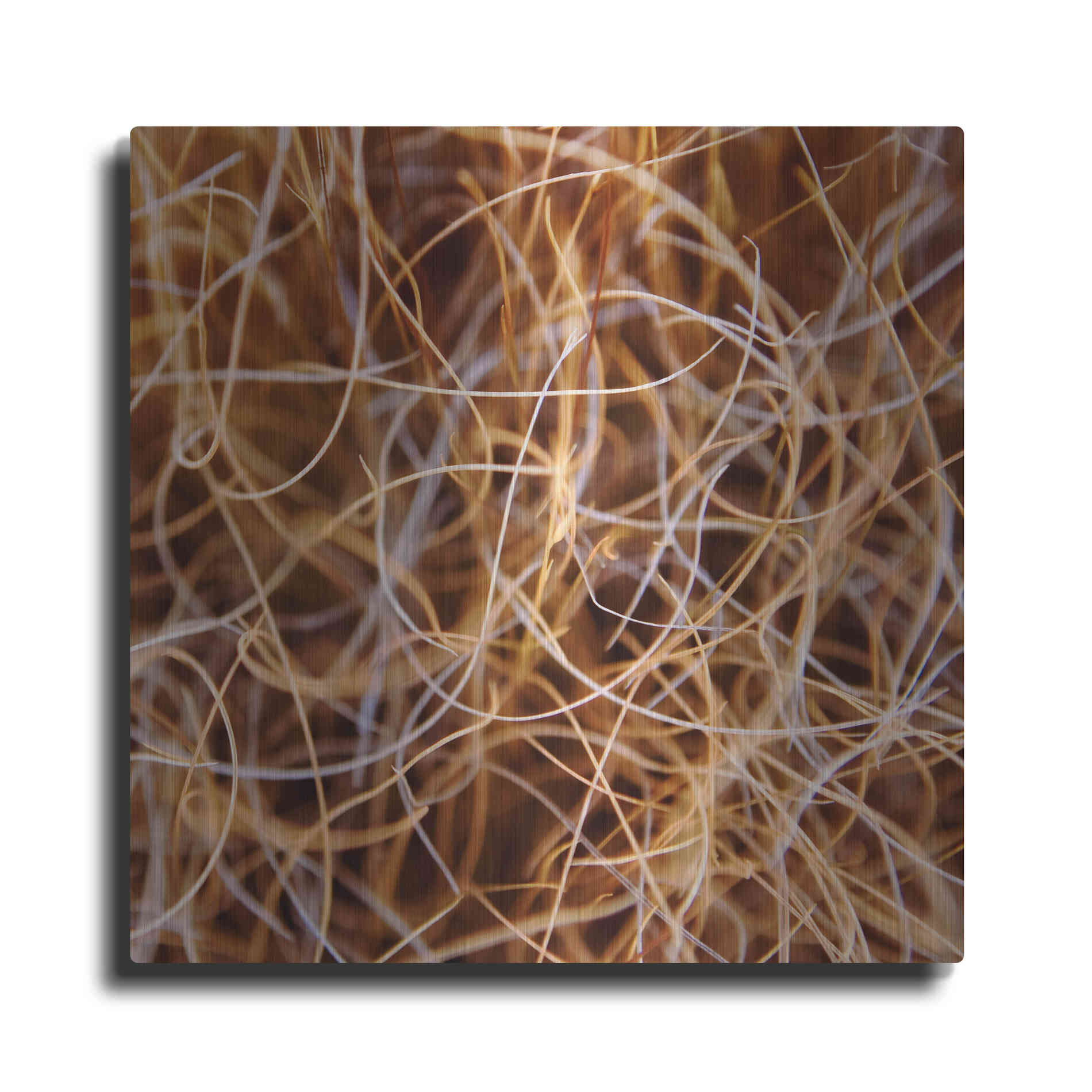 Luxe Metal Art 'Zion Grass' by Jan Bell Metal Wall Art