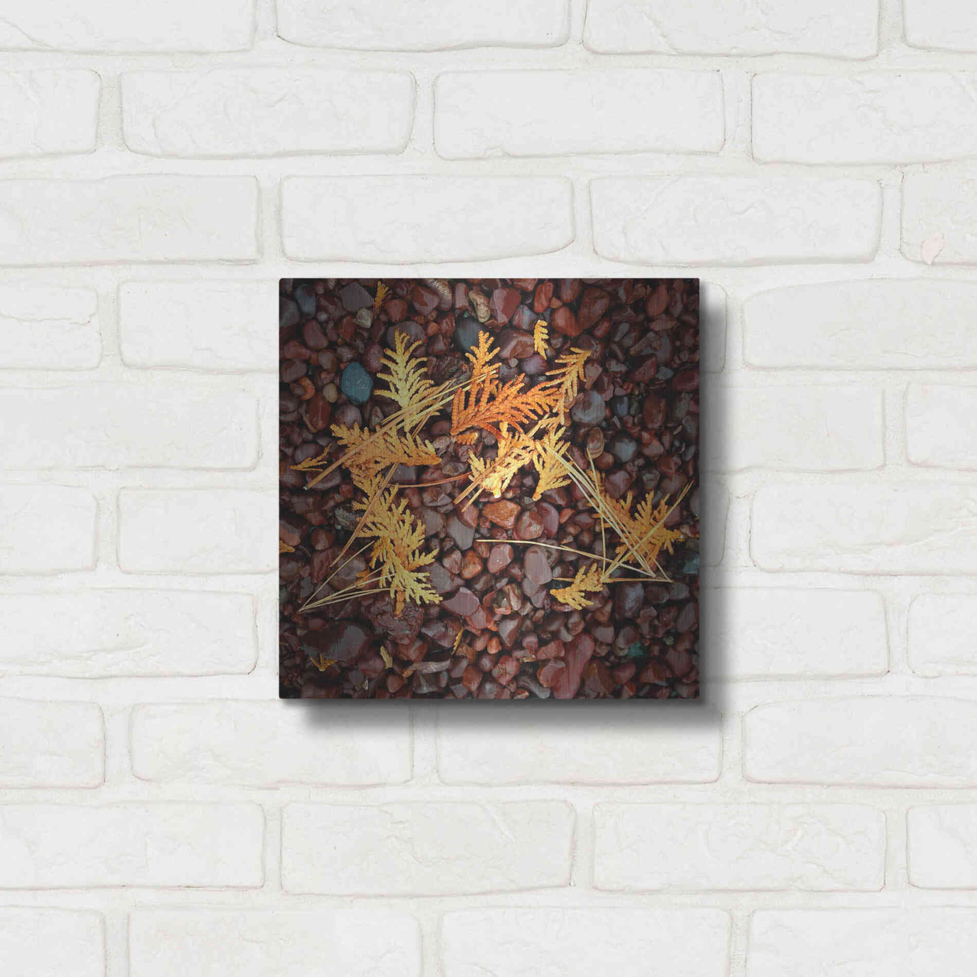 Luxe Metal Art 'Brown Pebbles with Cedar' by Jan Bell Metal Wall Art,12x12
