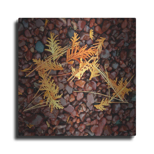 Luxe Metal Art 'Brown Pebbles with Cedar' by Jan Bell Metal Wall Art