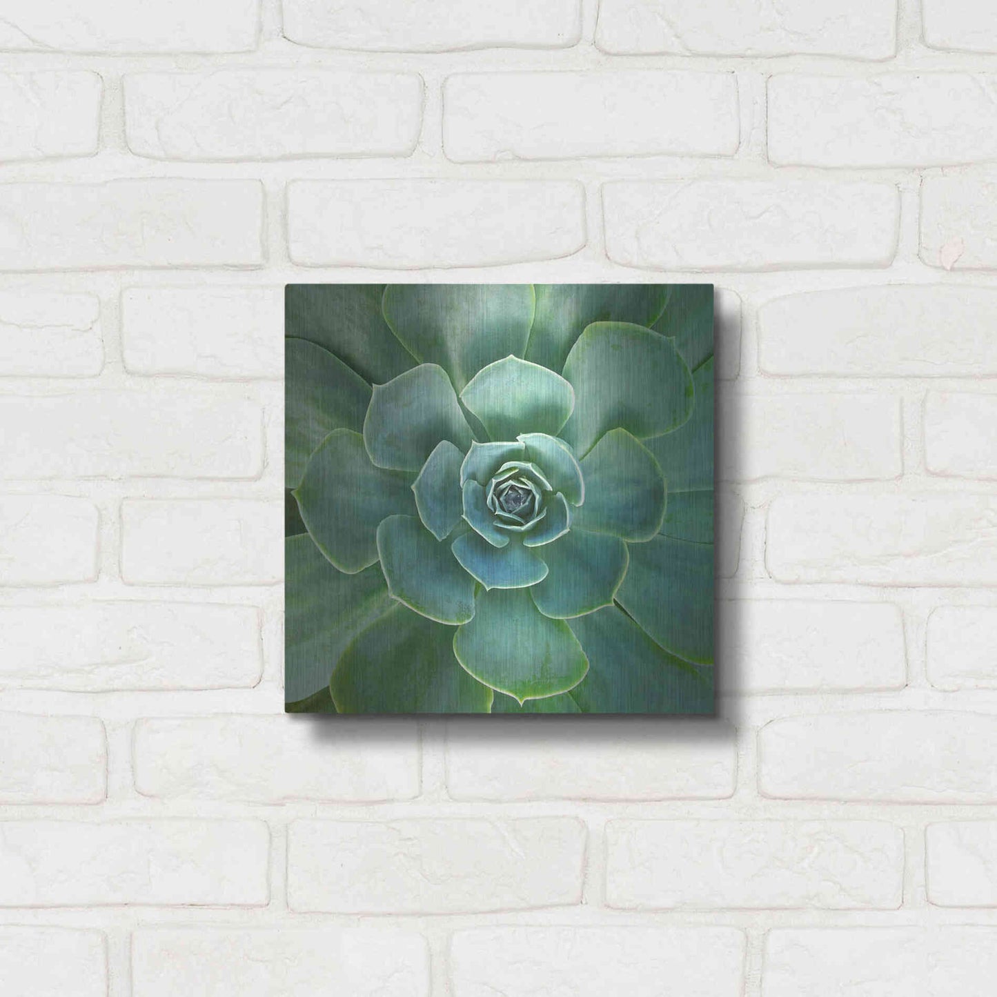 Luxe Metal Art 'Glowing Succulent' by Jan Bell Metal Wall Art,12x12