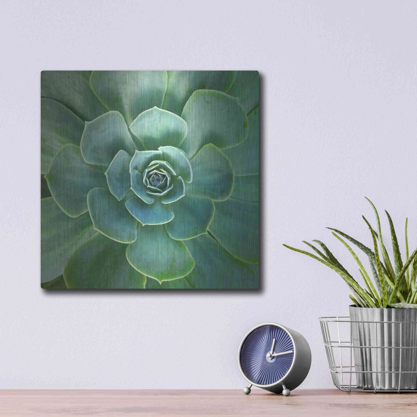 Luxe Metal Art 'Glowing Succulent' by Jan Bell Metal Wall Art,12x12