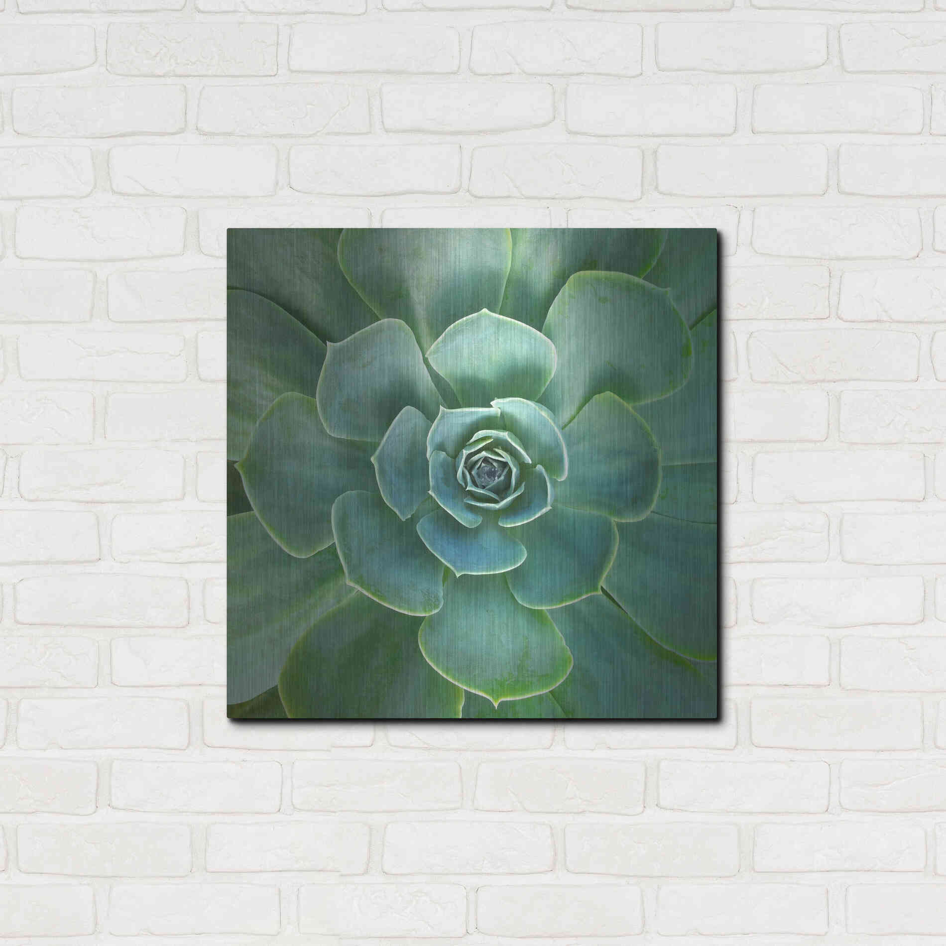 Luxe Metal Art 'Glowing Succulent' by Jan Bell Metal Wall Art,24x24