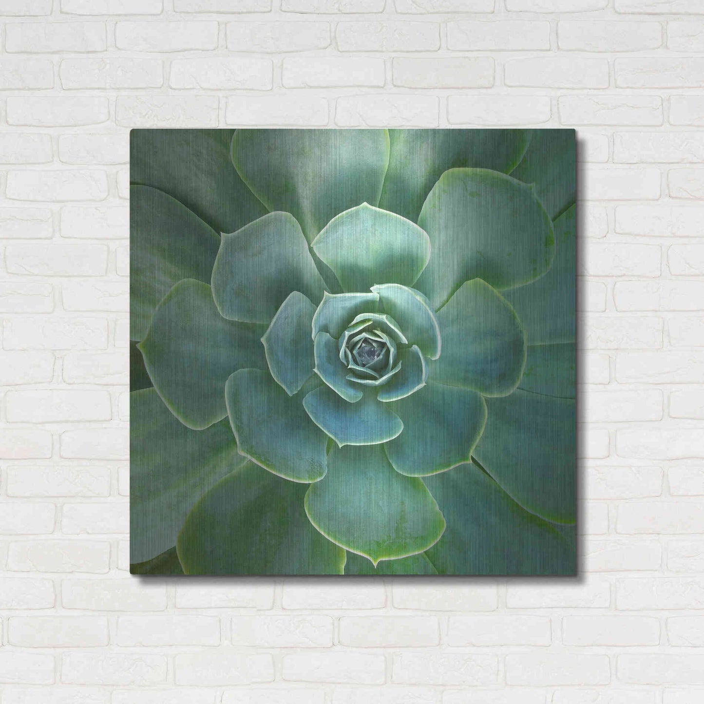 Luxe Metal Art 'Glowing Succulent' by Jan Bell Metal Wall Art,36x36