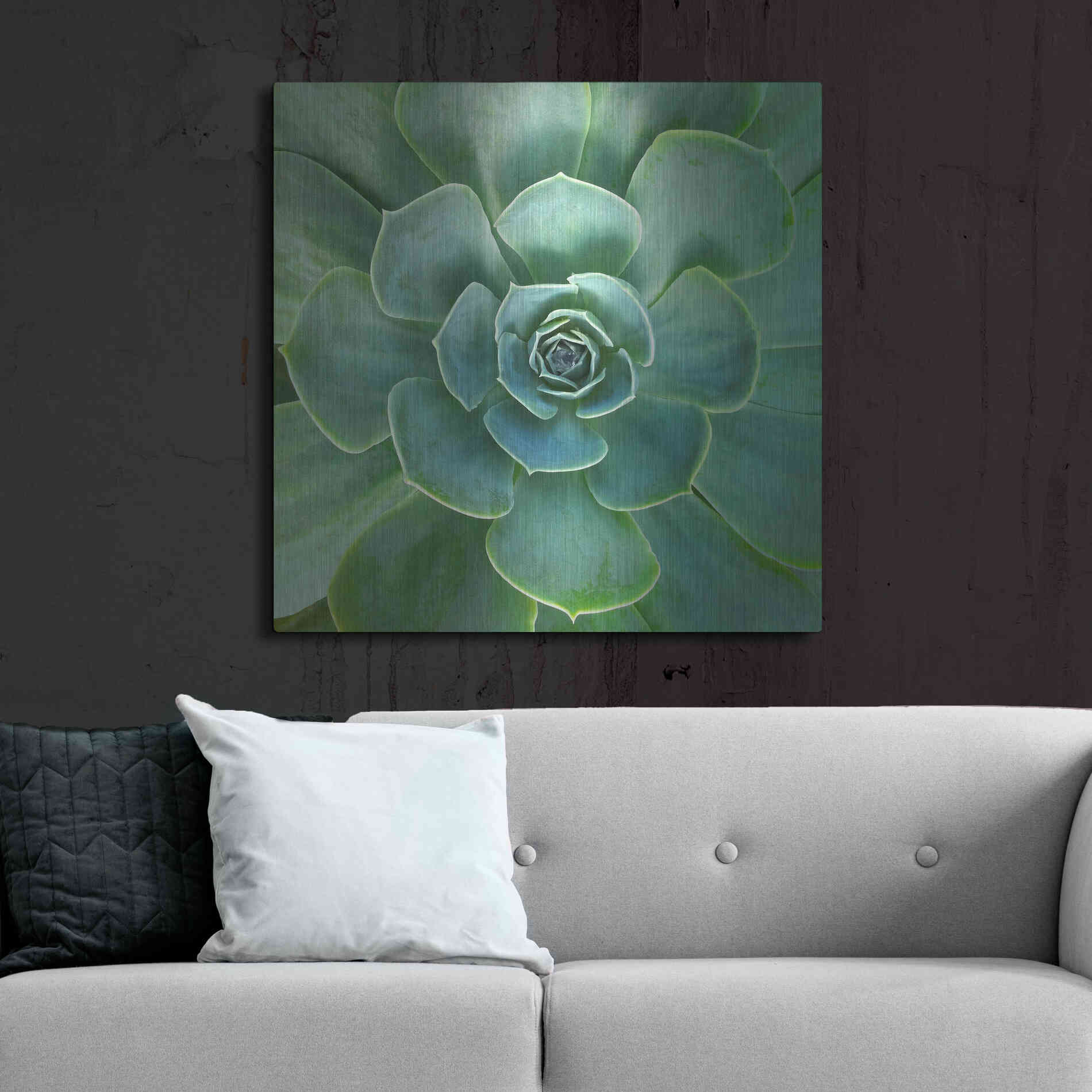 Luxe Metal Art 'Glowing Succulent' by Jan Bell Metal Wall Art,36x36