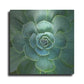 Luxe Metal Art 'Glowing Succulent' by Jan Bell Metal Wall Art