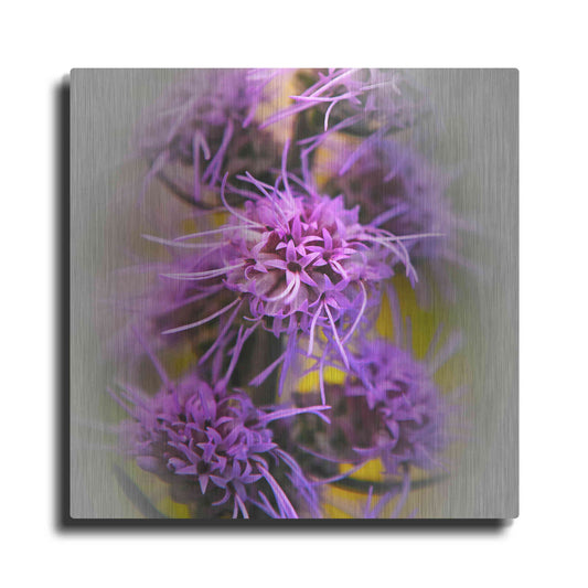 Luxe Metal Art 'Meadow Flowers' by Jan Bell Metal Wall Art