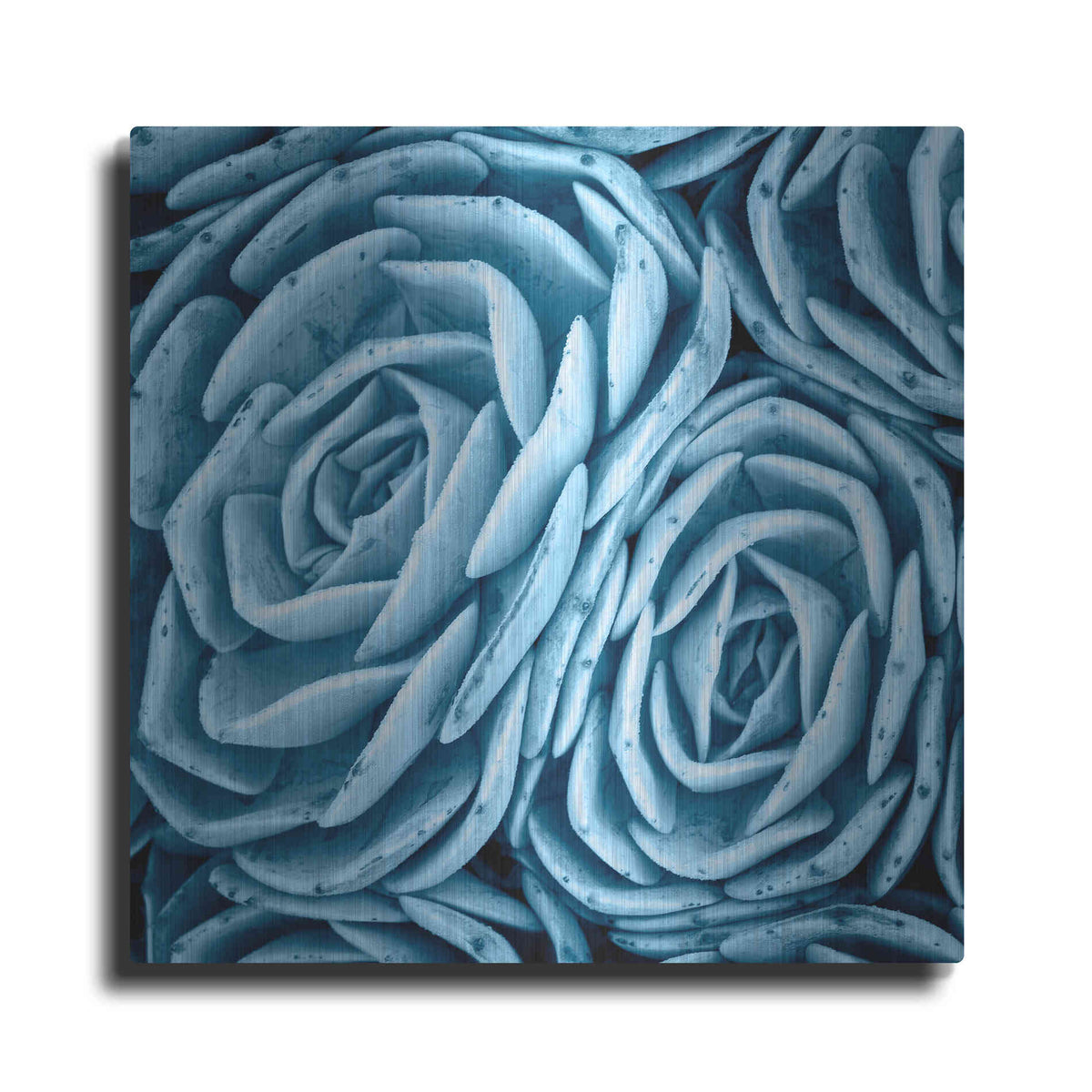 Luxe Metal Art 'Nestled Succulents' by Jan Bell Metal Wall Art