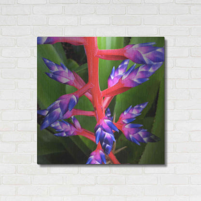 Luxe Metal Art 'Purple and Pink' by Jan Bell Metal Wall Art,36x36