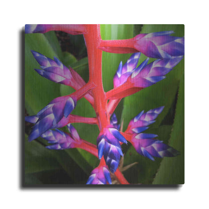 Luxe Metal Art 'Purple and Pink' by Jan Bell Metal Wall Art