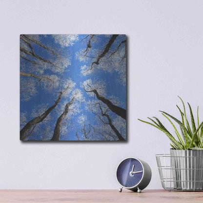 Luxe Metal Art 'Reaching Skyward' by Jan Bell Metal Wall Art,12x12