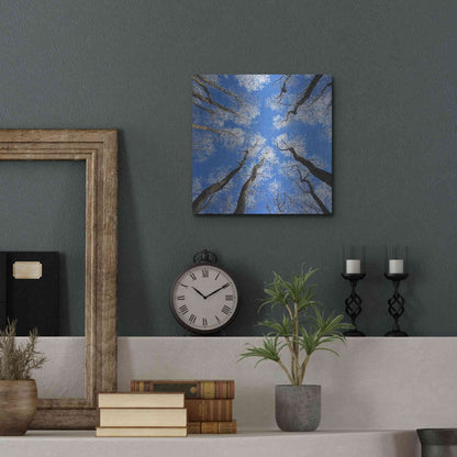 Luxe Metal Art 'Reaching Skyward' by Jan Bell Metal Wall Art,12x12