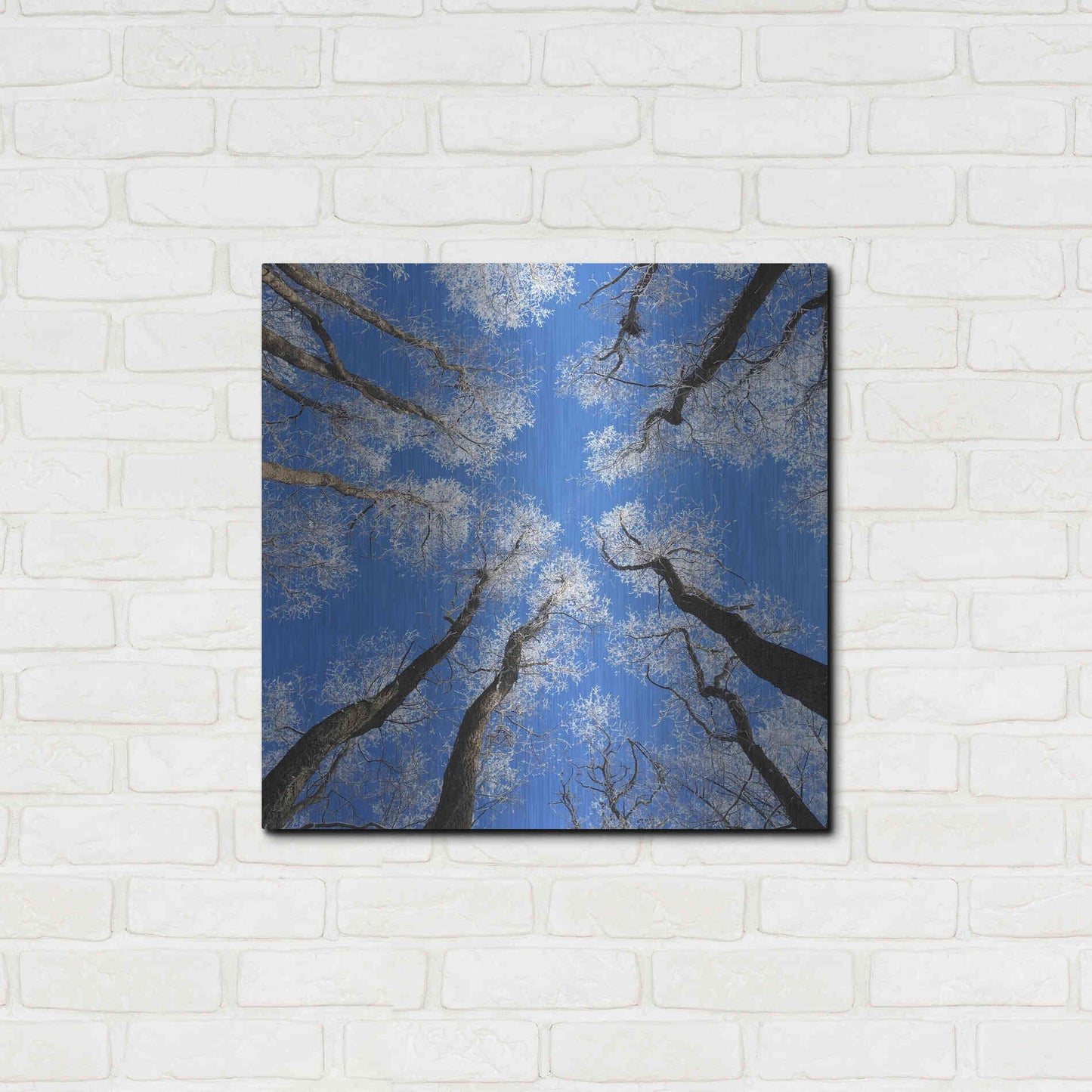 Luxe Metal Art 'Reaching Skyward' by Jan Bell Metal Wall Art,24x24