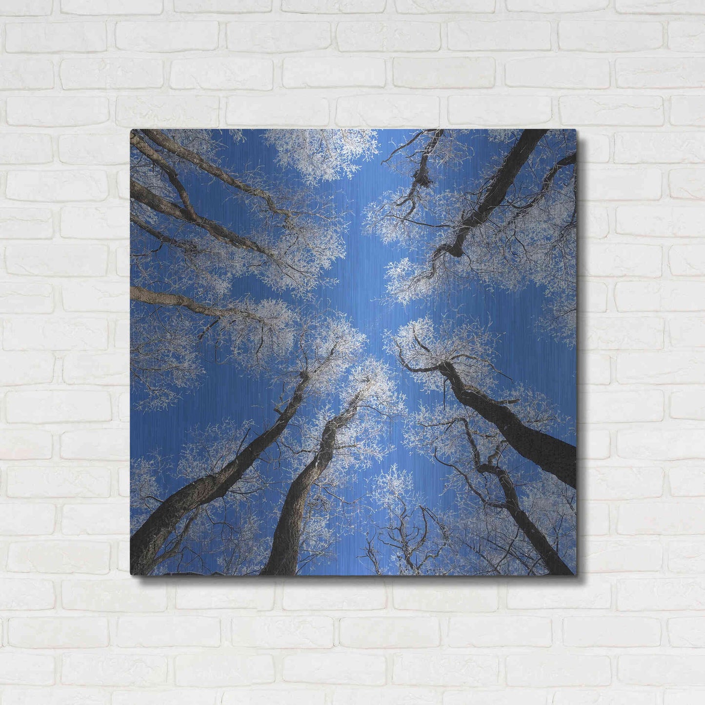 Luxe Metal Art 'Reaching Skyward' by Jan Bell Metal Wall Art,36x36