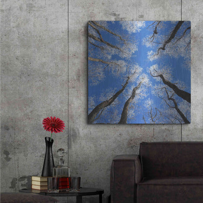 Luxe Metal Art 'Reaching Skyward' by Jan Bell Metal Wall Art,36x36