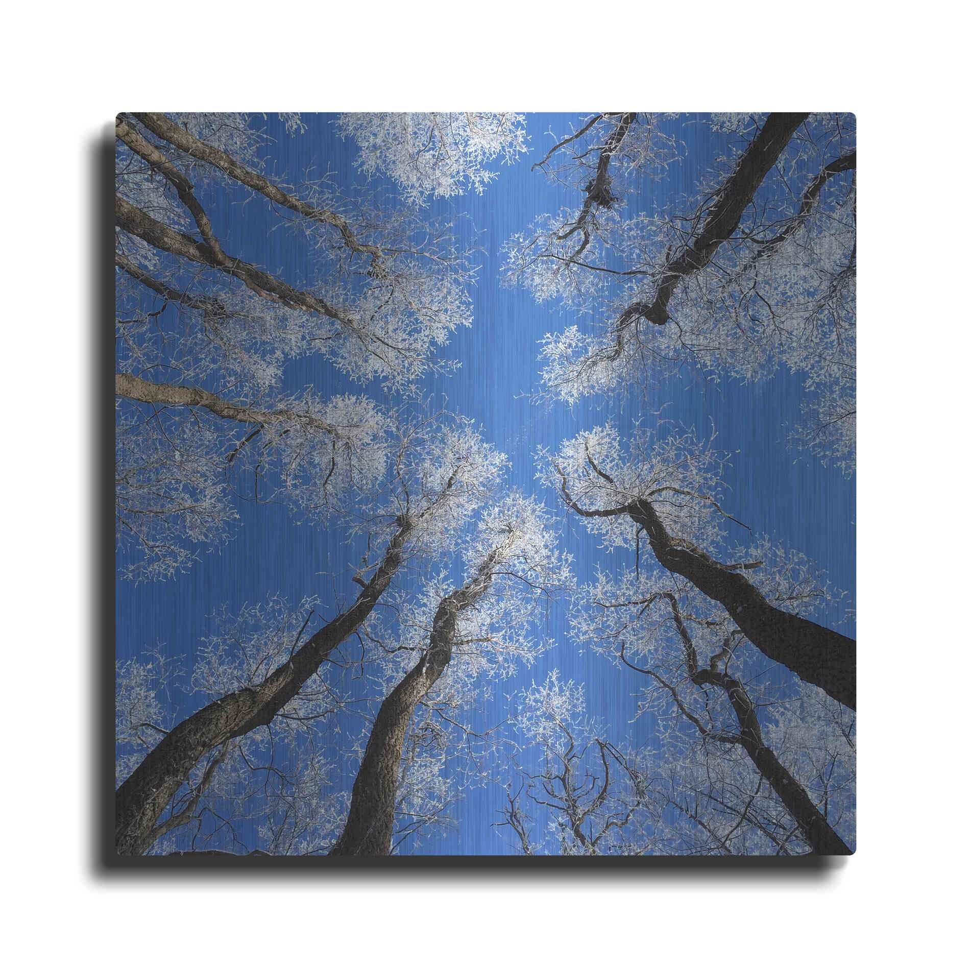 Luxe Metal Art 'Reaching Skyward' by Jan Bell Metal Wall Art