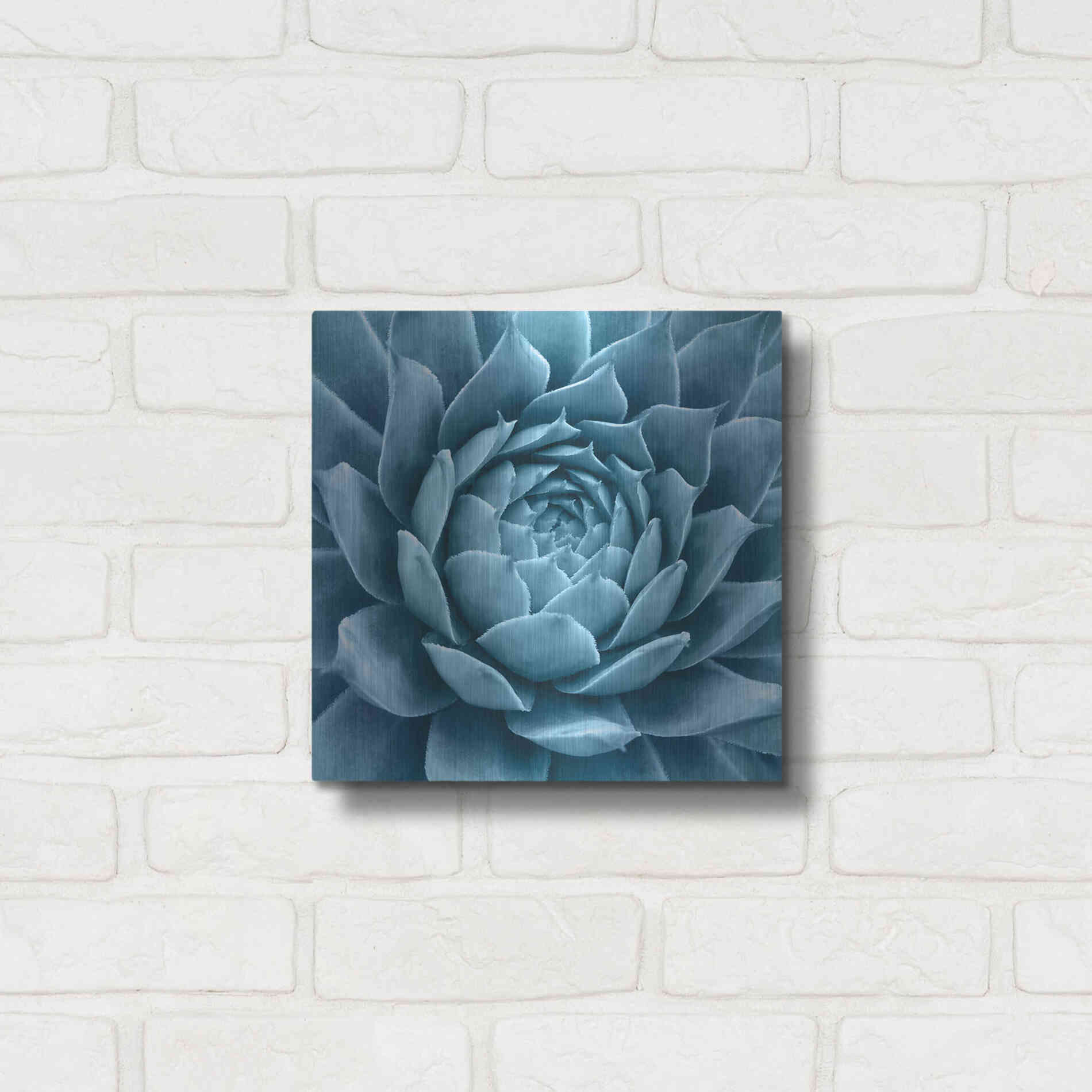 Luxe Metal Art 'Silvery Blue Agave' by Jan Bell Metal Wall Art,12x12