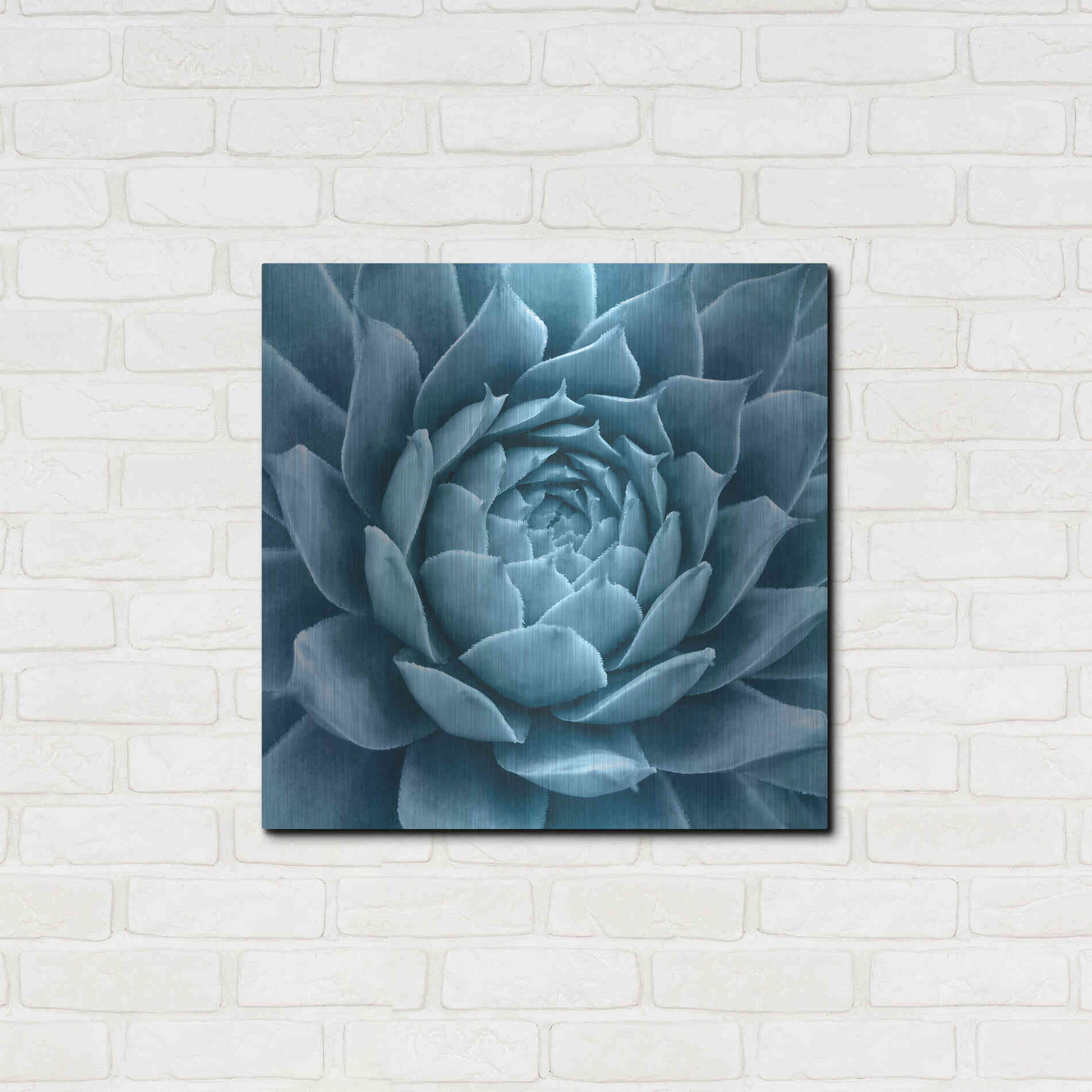 Luxe Metal Art 'Silvery Blue Agave' by Jan Bell Metal Wall Art,24x24