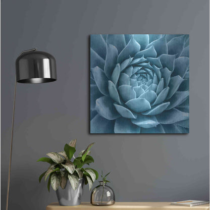 Luxe Metal Art 'Silvery Blue Agave' by Jan Bell Metal Wall Art,24x24