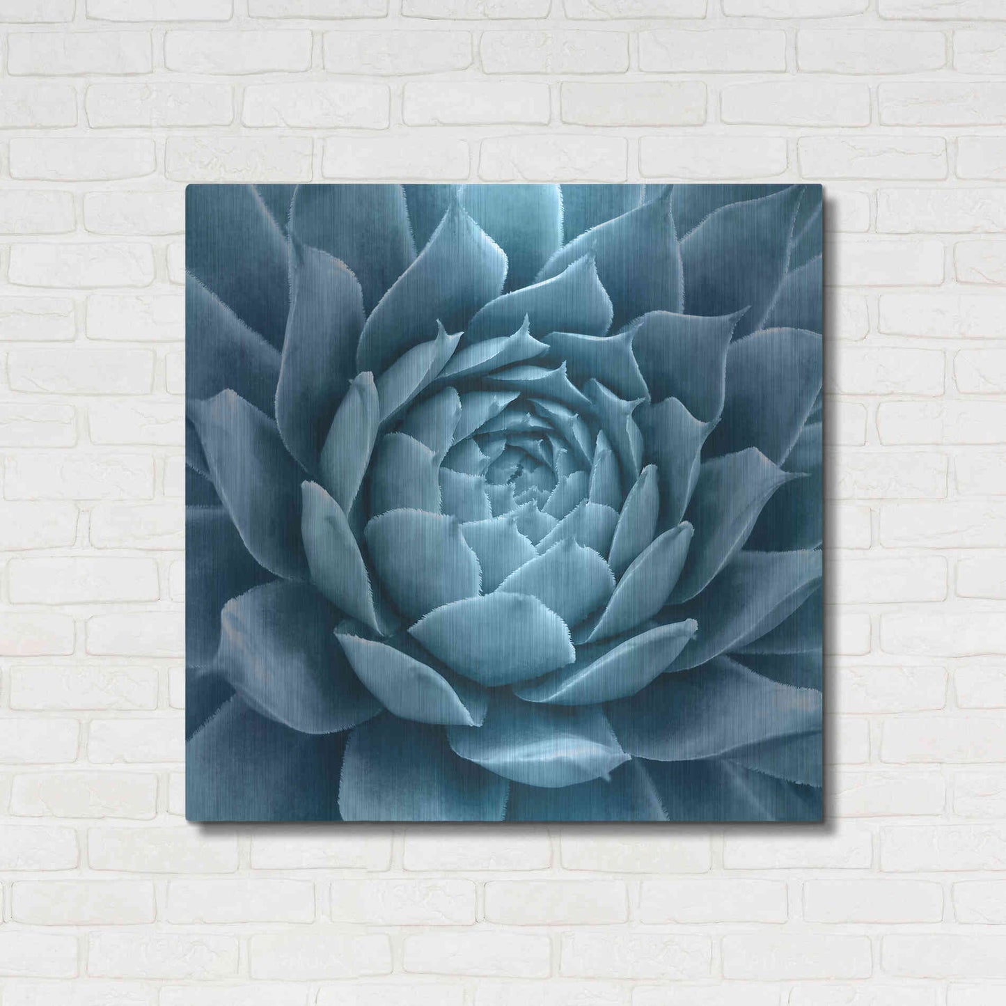 Luxe Metal Art 'Silvery Blue Agave' by Jan Bell Metal Wall Art,36x36