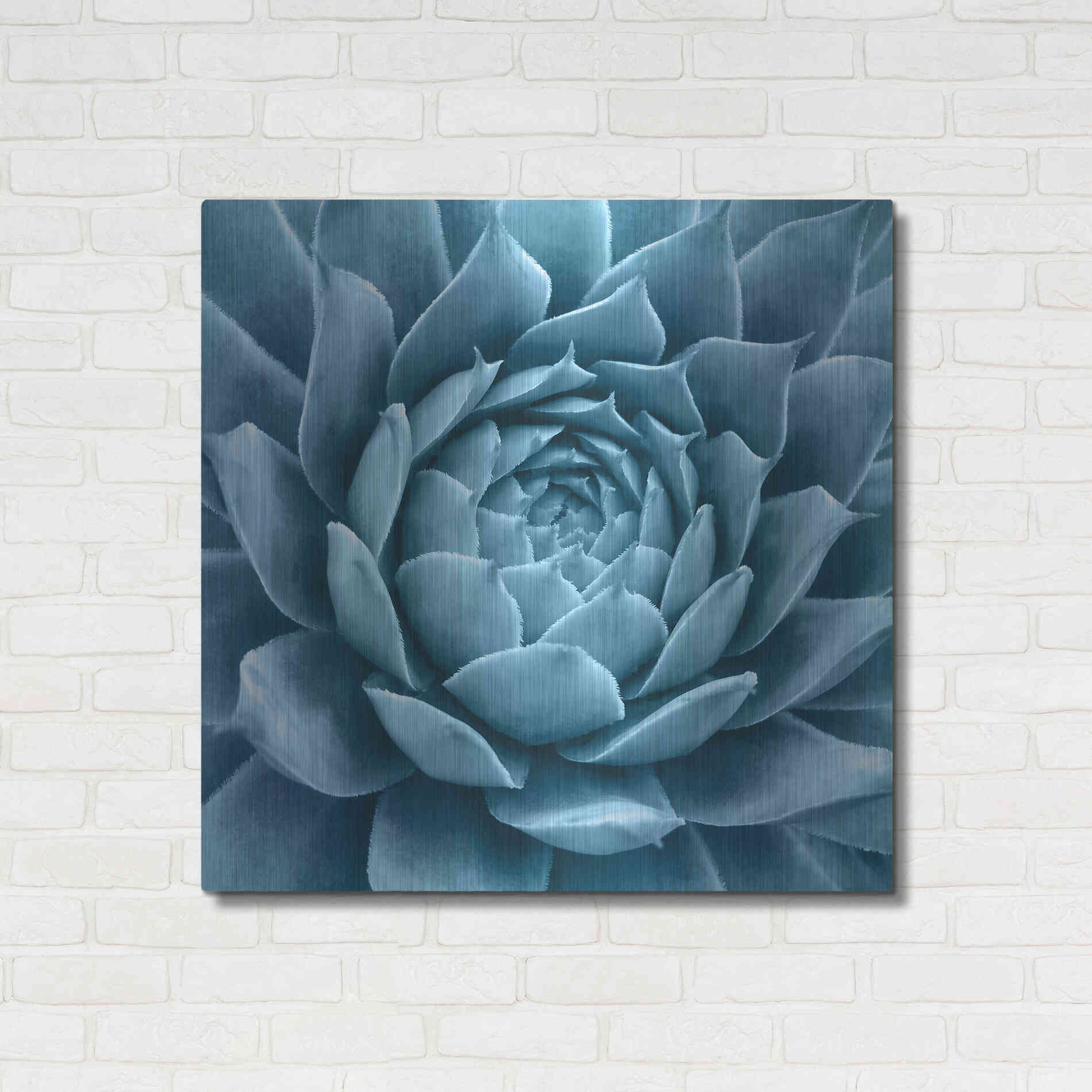 Luxe Metal Art 'Silvery Blue Agave' by Jan Bell Metal Wall Art,36x36