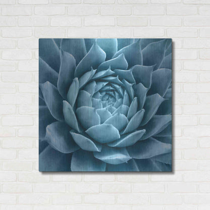 Luxe Metal Art 'Silvery Blue Agave' by Jan Bell Metal Wall Art,36x36