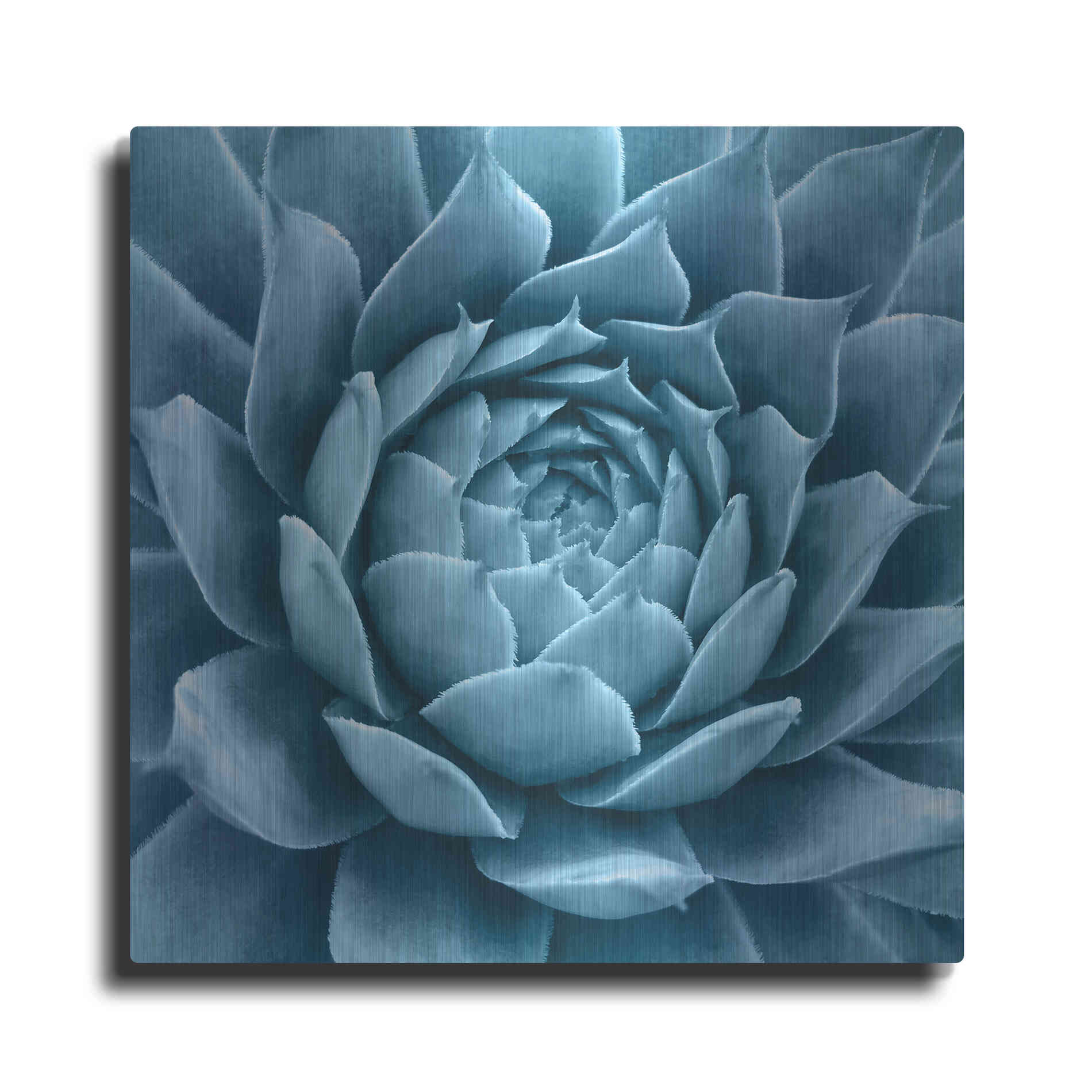 Luxe Metal Art 'Silvery Blue Agave' by Jan Bell Metal Wall Art