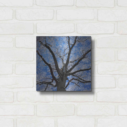 Luxe Metal Art 'Snow Covered Tree' by Jan Bell Metal Wall Art,12x12