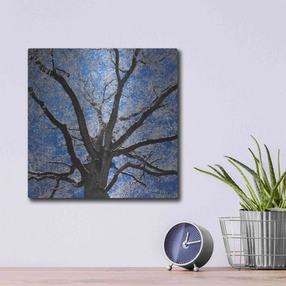 Luxe Metal Art 'Snow Covered Tree' by Jan Bell Metal Wall Art,12x12