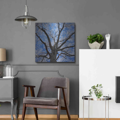 Luxe Metal Art 'Snow Covered Tree' by Jan Bell Metal Wall Art,24x24