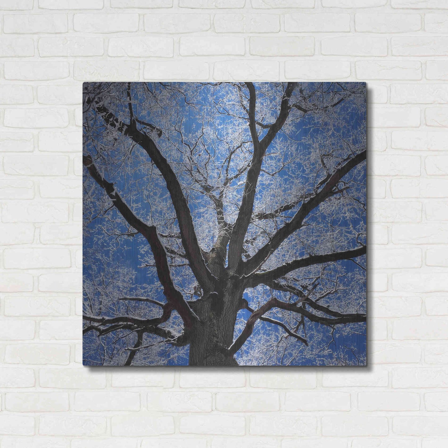 Luxe Metal Art 'Snow Covered Tree' by Jan Bell Metal Wall Art,36x36