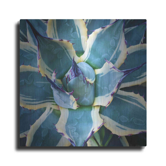 Luxe Metal Art 'Elegant Thorns' by Jan Bell Metal Wall Art