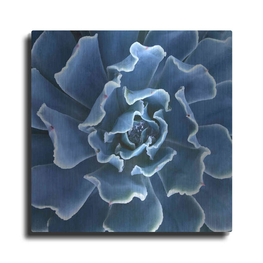 Luxe Metal Art 'Ruffled Edges' by Jan Bell Metal Wall Art