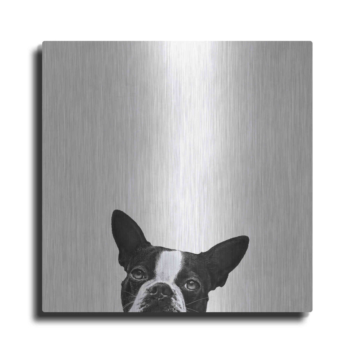 Luxe Metal Art 'Loyalty' by Jon Bertelli Metal Wall Art