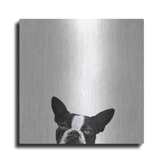 Luxe Metal Art 'Loyalty' by Jon Bertelli Metal Wall Art
