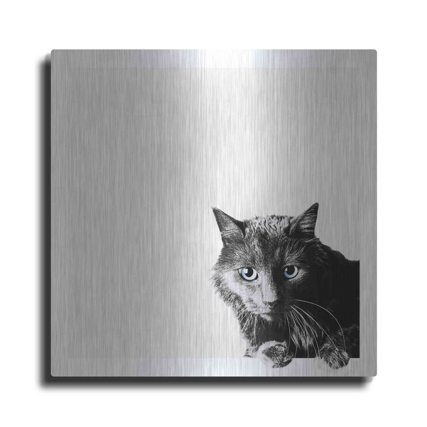 Luxe Metal Art 'Inquisitive' by Jon Bertelli Metal Wall Art