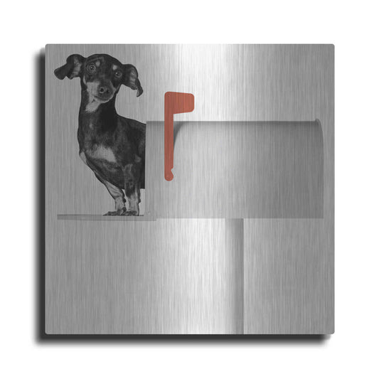 Luxe Metal Art 'You?ve Got Mail' by Jon Bertelli Metal Wall Art