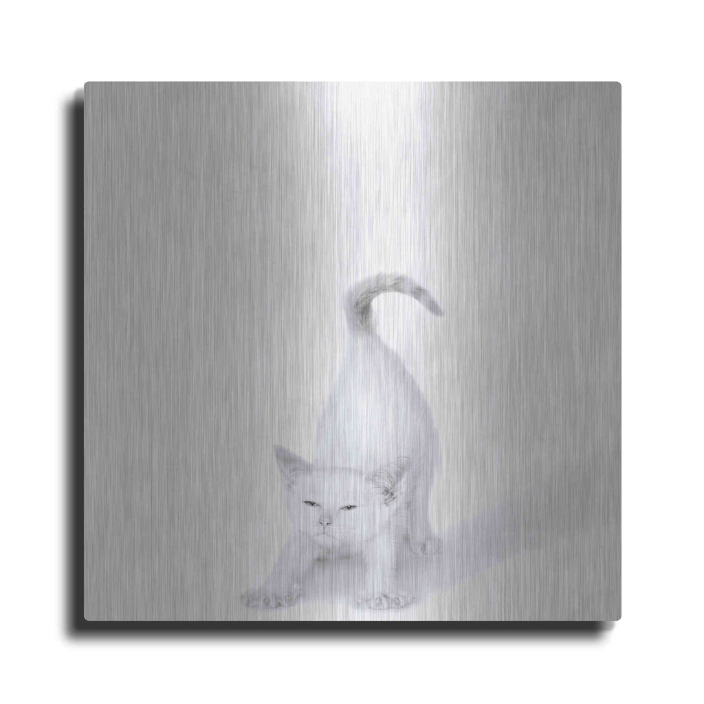 Luxe Metal Art 'Bonjour!' by Jon Bertelli Metal Wall Art