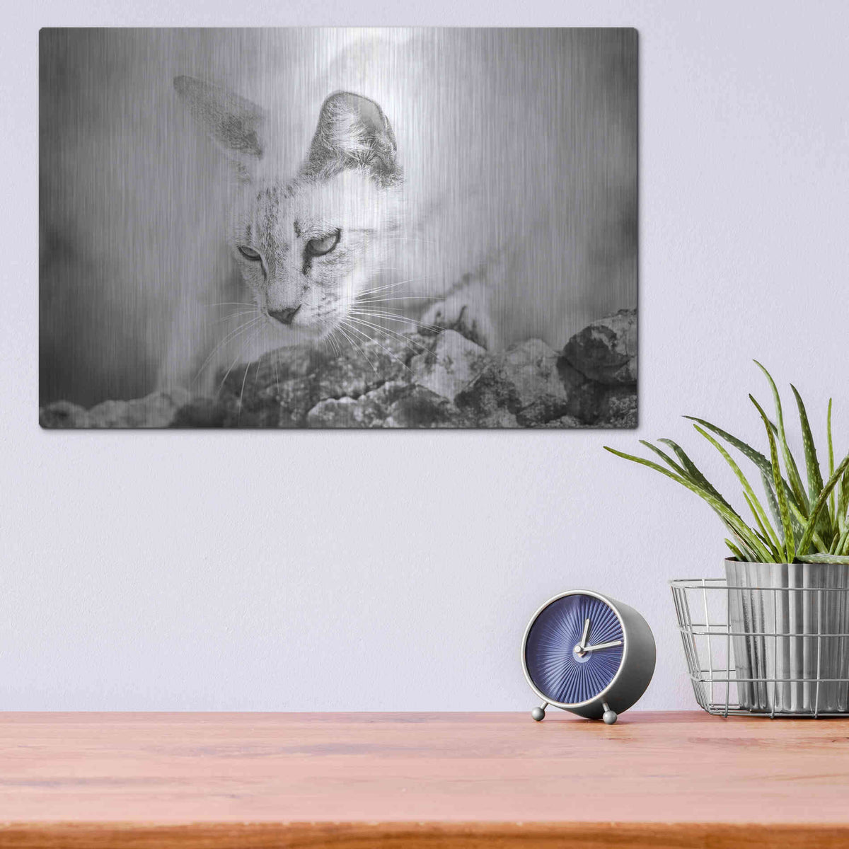 Luxe Metal Art 'The Heart of a Lion' by Jon Bertelli Metal Wall Art,16x12