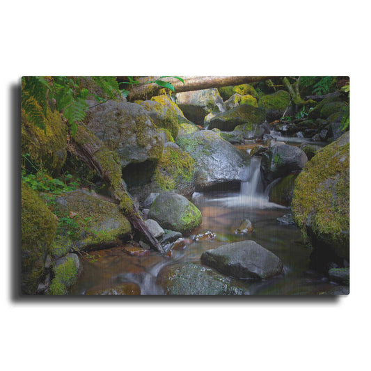 Luxe Metal Art 'Mossy Stream' by Michael Broom Metal Wall Art