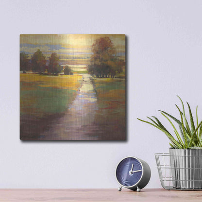 Luxe Metal Art 'October Path' by Carol Rowan, Metal Wall Art,12x12