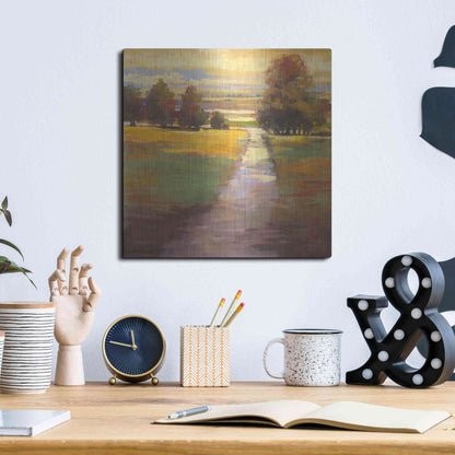 Luxe Metal Art 'October Path' by Carol Rowan, Metal Wall Art,12x12