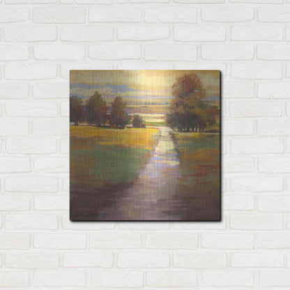 Luxe Metal Art 'October Path' by Carol Rowan, Metal Wall Art,24x24