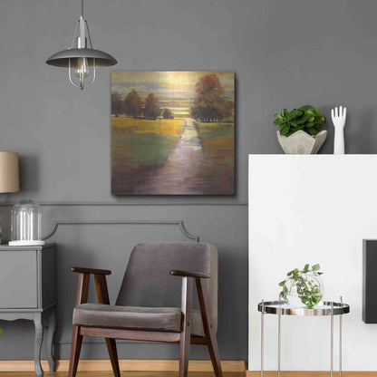 Luxe Metal Art 'October Path' by Carol Rowan, Metal Wall Art,24x24