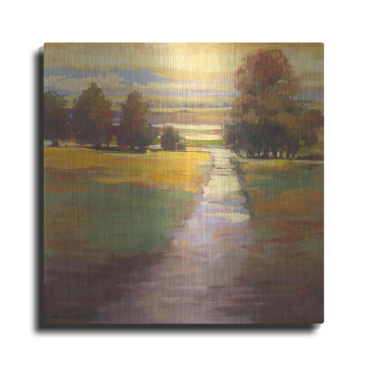 Luxe Metal Art 'October Path' by Carol Rowan, Metal Wall Art