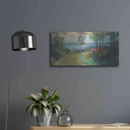 Luxe Metal Art 'Collins Lake' by Carol Rowan, Metal Wall Art,24x12